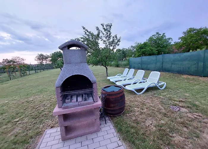 Laurus Vendeghaz * Lovas