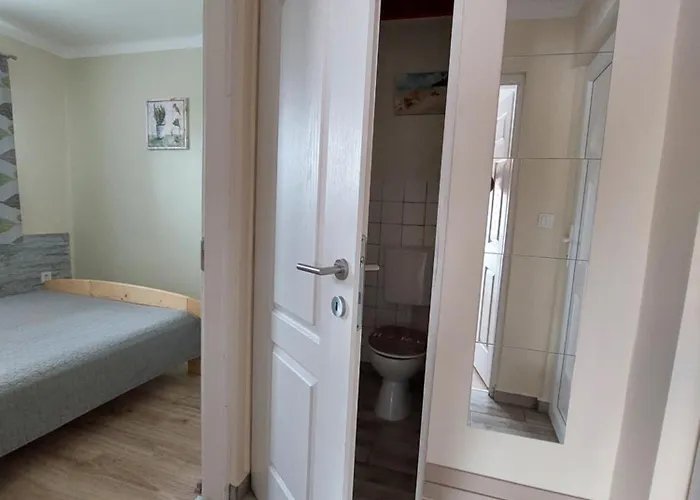 Laurus Vendeghaz Lovas