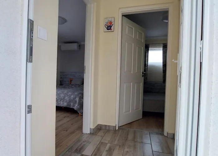 Laurus Vendeghaz * Lovas